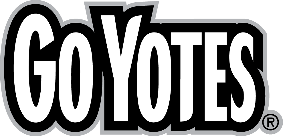 South Dakota Coyotes 2004-2011 Wordmark Logo v4 diy fabric transfer